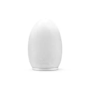 luxury egg table lamp